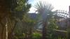 Apartmaji Karmela Hrvaška - Dalmacija - Sibenik - Grebastica - apartma #137 Slika 20