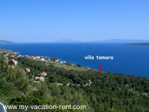 Apartma Zavala Otok Hvar Dalmacija Hrvaška #203