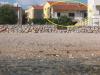 Apartmaji Mira - 20 m from pebble beach: Hrvaška - Dalmacija - Sibenik - Zaboric - apartma #2436 Slika 14