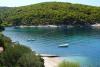 Apartmaji Perica - 10 m from sea: Hrvaška - Dalmacija - Otok Brac - Postira - apartma #2883 Slika 12