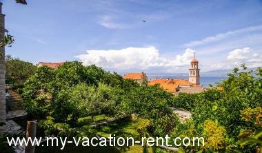 Apartma Sutivan Otok Brac Dalmacija Hrvaška #2982