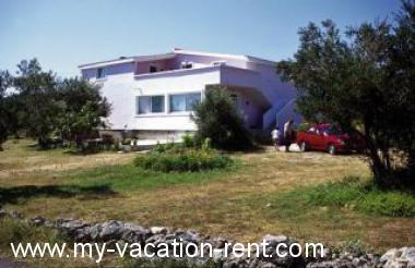 Apartma Dobropoljana Otok Pasman Dalmacija Hrvaška #3010