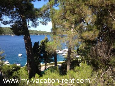 Apartma Mali Losinj Otok Losinj Kvarner Hrvaška #3580