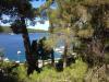 Apartmaji Pero - 80 m from sea: Hrvaška - Kvarner - Otok Losinj - Mali Losinj - apartma #3580 Slika 8