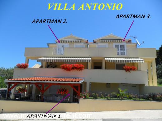 Apartmaji VILLA ANTONIO Hrvaška - Dalmacija - Zadar - Drage - apartma #440 Slika 1