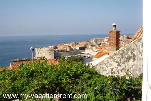 Apartmaji Villa Enny Hrvaška - Dalmacija - Dubrovnik - Dubrovnik - apartma #469 Slika 1