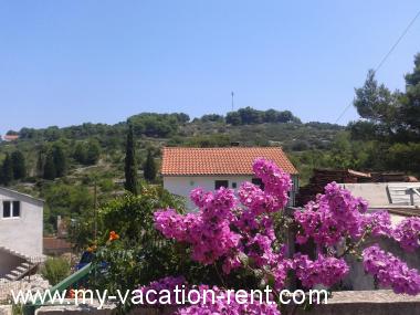 Apartma Stomorska Otok Solta Dalmacija Hrvaška #5835