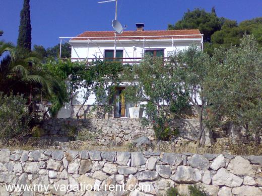 Počitniška hiša Dumanić Hrvaška - Dalmacija - Otok Brac - Milna - počitniška hiša #629 Slika 3