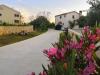 Apartmaji Ljilja - 250 m from blue flag beach: Hrvaška - Dalmacija - Zadar - Zaton (Zadar) - apartma #6401 Slika 14