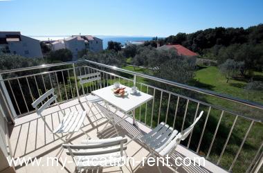 Apartma Kozino Zadar Dalmacija Hrvaška #6494
