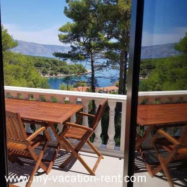 Apartma Cove Basina (Jelsa) Otok Hvar Dalmacija Hrvaška #6497