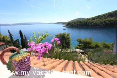 Apartma Stomorska Otok Solta Dalmacija Hrvaška #6575