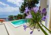 Apartmaji Fran - pool view: Hrvaška - Dalmacija - Otok Brac - Selca - apartma #7242 Slika 20