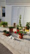 Apartmaji Mira - comfy with garden : Hrvaška - Dalmacija - Dubrovnik - Dubrovnik - apartma #7310 Slika 14