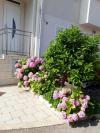 Apartmaji Mira - comfy with garden : Hrvaška - Dalmacija - Dubrovnik - Dubrovnik - apartma #7310 Slika 14