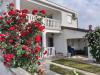 Apartmaji Tihana - 200 m from sea: Hrvaška - Dalmacija - Otok Vir - Vir - apartma #7410 Slika 7