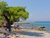 Apartmaji Bal - 400 m from beach: Hrvaška - Dalmacija - Otok Brac - Supetar - apartma #7421 Slika 13