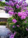 Apartmaji Viki - seaview & garden terrace: Hrvaška - Dalmacija - Makarska - Makarska - apartma #7529 Slika 6