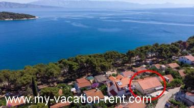 Apartma Jelsa Otok Hvar Dalmacija Hrvaška #7611