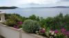 Apartmaji Petra - sea view: Hrvaška - Dalmacija - Otok Solta - Maslinica - apartma #7633 Slika 14